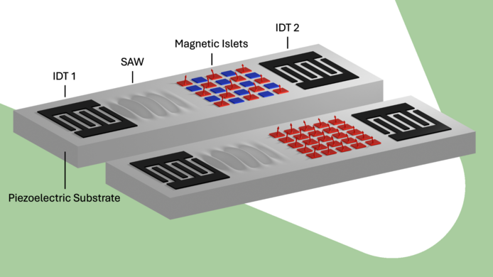 Programmable frequency filters: The image shows the programmable frequency filter with two different settings of the magnetic spin regions. The first interdigital transducer (IDT1) generates the surface acoustic waves (SAWs) in the piezoelectric substrate material. The SAWs propagate and hit the spin regions (magnetic islets), where they interact with the spin waves. The second interdigital transducer then converts them back into electrical waves. Depending on the configuration of the spin regions (alternating spin directions in red and blue or all in the same direction in red), the system filters out different frequencies of SAWs.