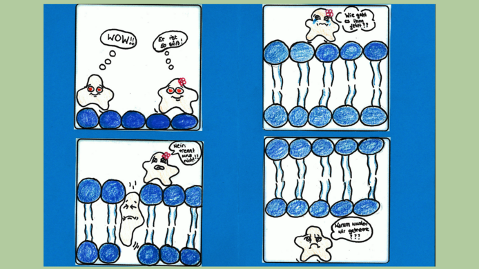 Cartoon drawing with proteins