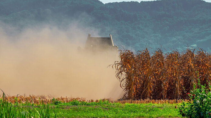 Machine sowing maize