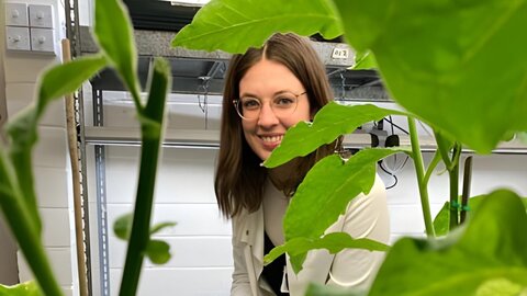 Young researcher in the lab with plants in the foreground