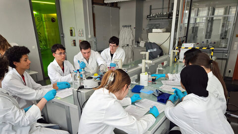 Students in the lab