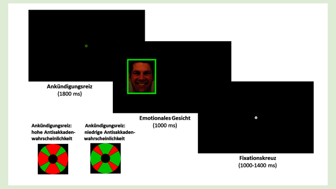 Presentation of a task for measuring cognitive control