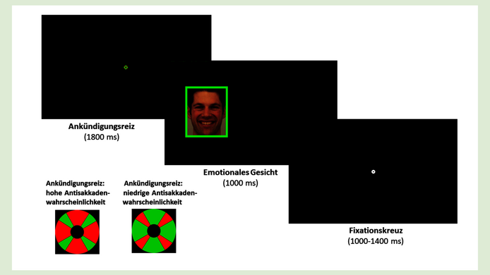 Darstellung einer Aufgabe zur Messung der kognitiven Kontrolle