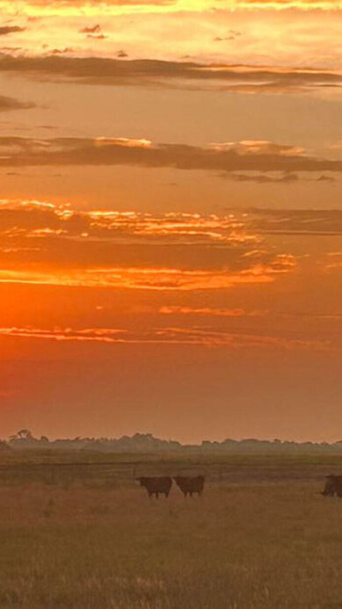 Sonnenaufgang, Nebraska