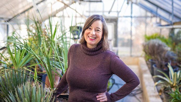 Plant researcher in a glass plant house