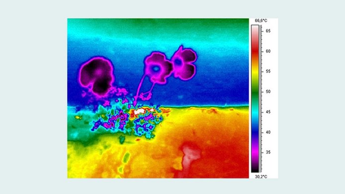 Infrared image of Alpine poppy (Papaver alpinum): The plant is noticeably cooler than the hot ground; a vertical rock in the upper half of the image provides additional cooling.