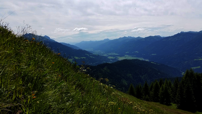 Alpine meadow