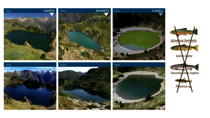 Comparisons of mountain lakes that have regained their original color over a period of four years