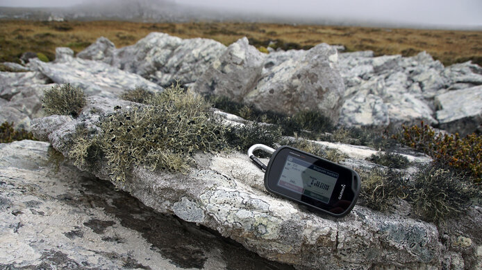 Close-up of rock lichen and GPS device for measuring location.