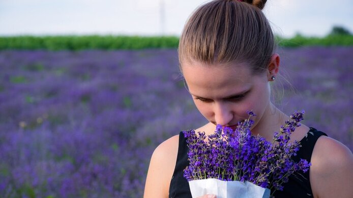 Junge Frau riecht an einem Bund Lavendel, hinter ihr ein Lavendelfeld.