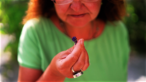 What makes microbes strong (Gabriele Berg)