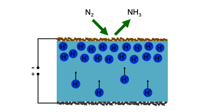 Illustration einer elektrochemischen Zelle