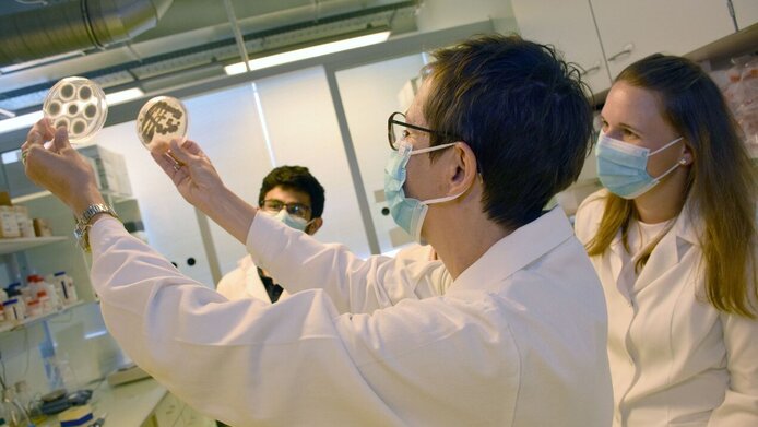 Microbiologist Florentine Marx-Ladurner and her team looking at fungal probes in their lab at Medical University of Innsbruck.