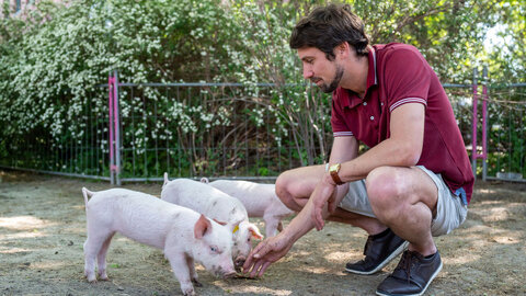 Animal welfare researcher Jean-Loup Rault stroking little pigs
