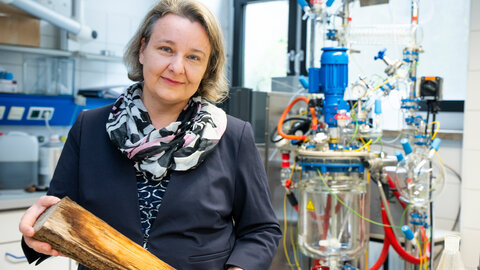 Chemist in laboratory holding piece of wood in her hands