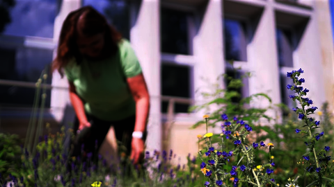 Was Mikroben stark macht (Gabriele Berg)
