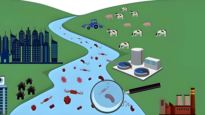  Illustration of the analysis of fecal gradients in the river