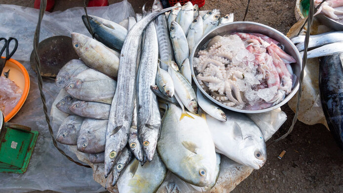 Rohe Meeresfische und Krustentiere auf einem Straßenmarkt in Vietnam.